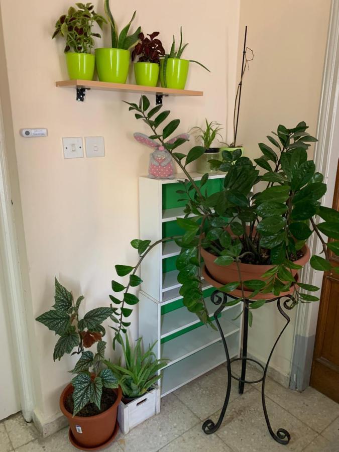 Mini Penthouse Larnaca Extérieur photo